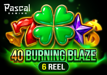 40 Burning Blaze 6 reels