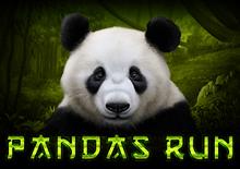 Panda's Run
